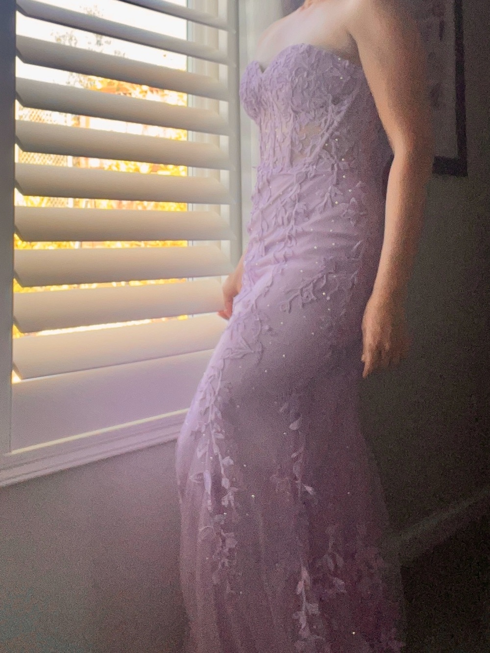 Lavender Lace Appliqué Corset Prom Special Occasion Dress